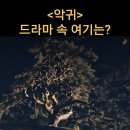 의령 성황리 소나무 이미지