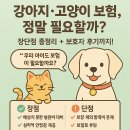 현대 강아지＆고양이 | 강아지 고양이 펫보험 장단점 총정리 + 실제 보호자 후기까지!