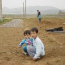 현준농장 이미지