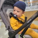 [육아일기] D+295~301 9개월 아기 일상, 9개월 아기 발달, 우리꼬미300일, 압타밀 2단계 리뉴얼, 코디...