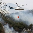 함평축구장 이미지
