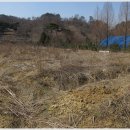 김창규농장 이미지