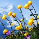 만물천하 이미지