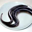 장어상회 이미지