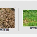 밭농약사