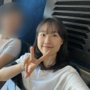 보성익스프레스 이미지