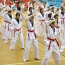 스포렉스 태권도 이미지