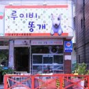 애견샵 이미지