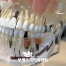 부평우리치과의원 이미지