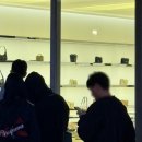 신세계 여주 아울렛 생로랑 가방 woc 체인지갑 구매후기와 가격정보
