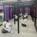🎠 부천대형키즈카페 플레이월드 부천점 종일권 후기 (부천아이와가볼만한곳 추천)