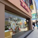 야탑역 | 야탑 카페 팀홀튼 야탑역점 후기｜아이스캡·멜트 샌드위치 솔직 리뷰