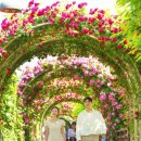 동일로163길 (16) 이미지