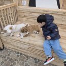 평강농장 | 포천 실내 가볼만한곳 마이애니멀스토리 in 평강랜드 아이랑 동물체험 추천