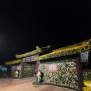 두발로무역