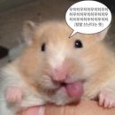 광동비타500 이미지