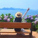 광동천 네이버블로그