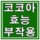 코코아 효능 및 부작용 (게시자 註: 과용 시 심각한 급성 변비 주의) 이미지