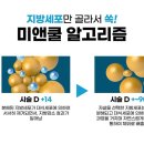 벨라 에스테틱 이미지