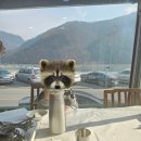 쏘가리상 | 단양 쏘가리회 풀코스 후기 -36년 전통 단양 매운탕