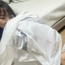 8코기네 이미지