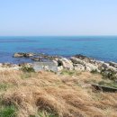 해동용궁사 이미지