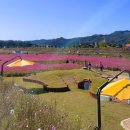 강당골캠핑파크 | 공주 [연종 캠핑장⛺] 천안|아산|세종|충남 근처 아이랑 가기 좋은 캠핑장, 근처에 있는 유구시장, 세종...