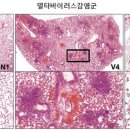 리더스마켓 이미지