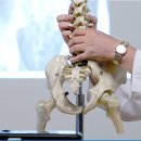 삼우연합정형외과의원 이미지