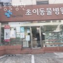 초이종합동물병원 | 성남 신흥동 동물병원 초이동물병원 진료시간 접근성 이용후기