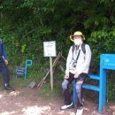 동산19-14 농로 이미지