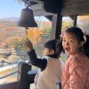 라파동물병원 | 아이랑 서울 근교 가볼만한곳 일본마을 니지모리스튜디오 정보 료칸