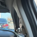 명지애견 | 부산 스타필드 시티 명지 애견동반 주말 방문 후기