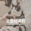 해온동물의료센터 이미지