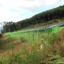 당리고개 이미지