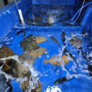 진하막썰어횟집 이미지