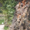 산내들농장 이미지