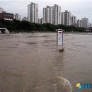 고수부지 이미지