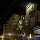 모미지 | [일본 삿포로] 죠잔케이 료칸 하나모미지 숙소 후기