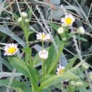 소야농장 이미지