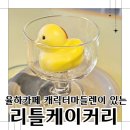 리틀케이커리 오리마들렌 소담소담한 율하동카페