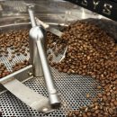 (단기)바리스타(자격증)-주간A | 수원바리스타학원 내돈내산 SCA커피자격증 취득부터 취업까지 솔직 후기