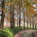 치즈마을 이미지