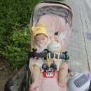 씨티티엘 | 성복역 롯데몰 수지점 스시 맛집 스시혼 내돈내산 🍣