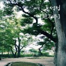 포석정 이미지