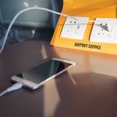 STAY PET SHOP 이미지