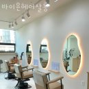 바이윤살롱