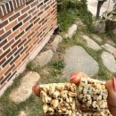 남쪽마을 이미지