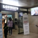 솔바람뜰(국립현대미술관) | 라운지디 : 국립현대미술관 과천관에서의 점심은 여기 추천!