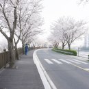 삼문동 밀양파크골프장 이미지